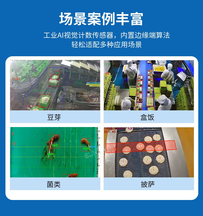 讯鹏AI视觉计数算法多场景适配 讯鹏AI视觉计数算法多场景适配