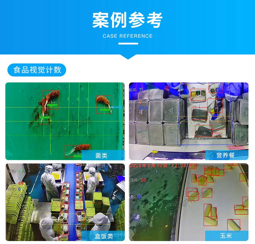讯鹏AI视觉计数算法案例展示 讯鹏AI视觉计数算法案例展示
