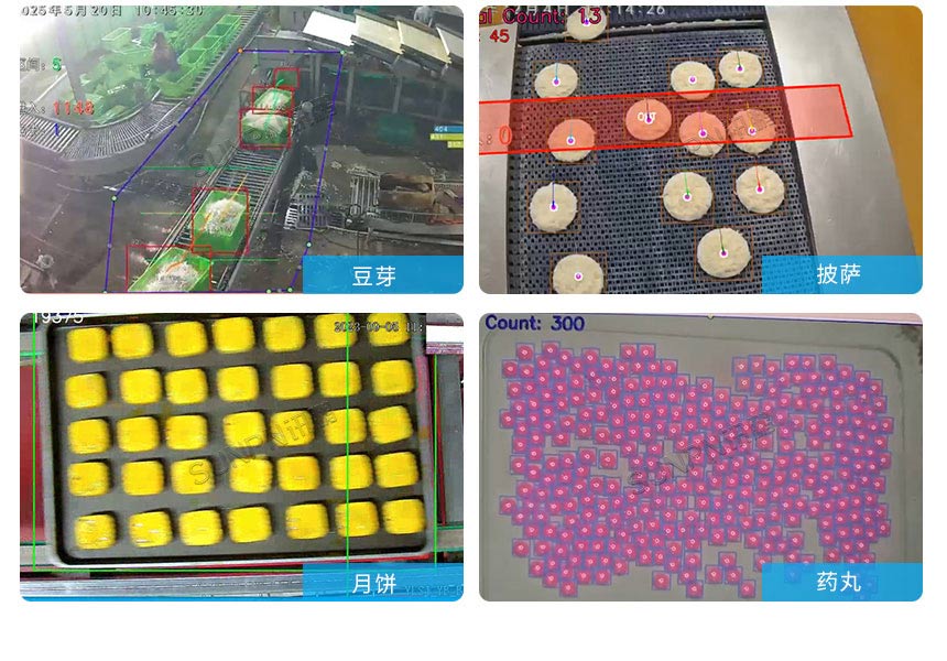 讯鹏AI视觉计数算法案例展示 讯鹏AI视觉计数算法案例展示