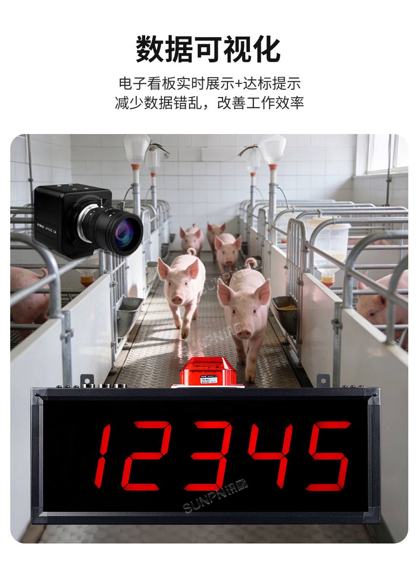 讯鹏AI视觉算法-数据实时展示 讯鹏AI视觉算法-数据实时展示