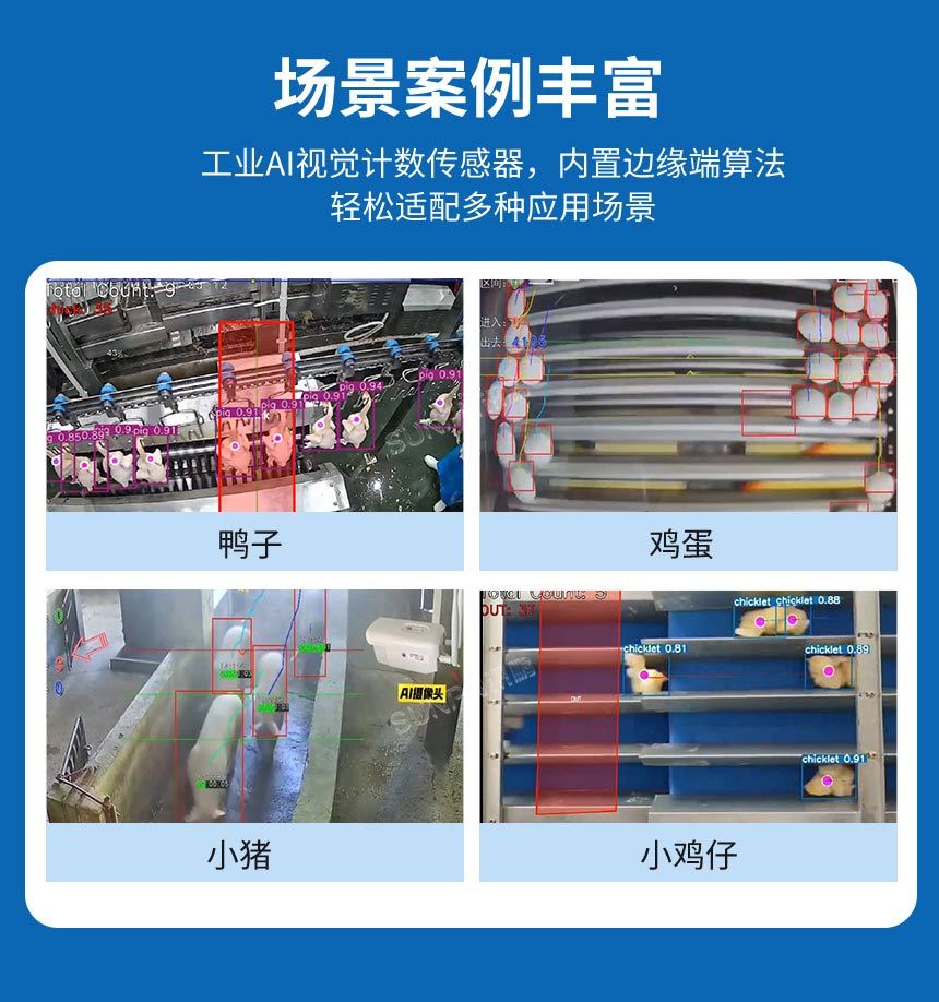 讯鹏AI视觉算法-适配多畜牧场景 讯鹏AI视觉算法-适配多畜牧场景