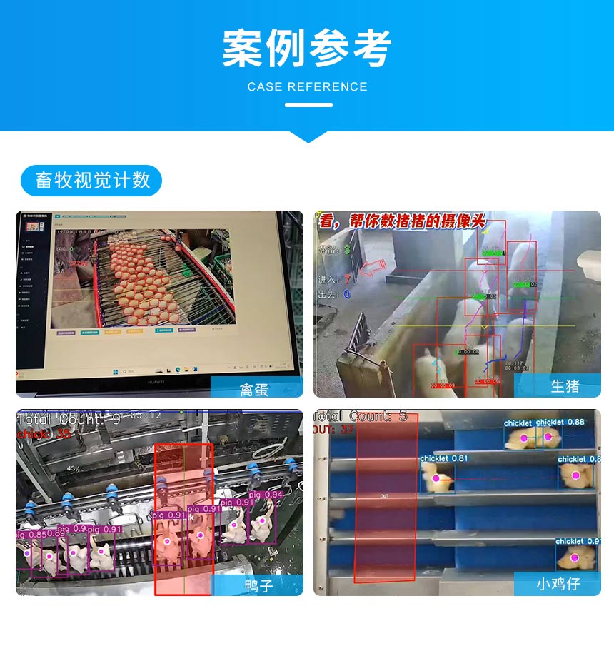 讯鹏AI视觉计数算法统计案例参考 讯鹏AI视觉计数算法统计案例参考